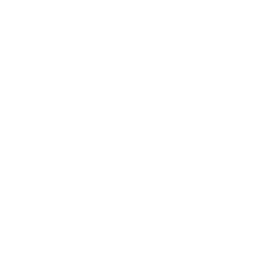 Secure Payment